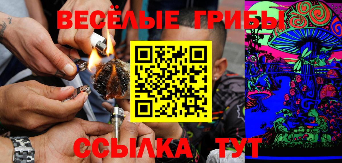 Галлюциногенные грибы Psilocybine cubensis  Вход с VPN  Карпинск 